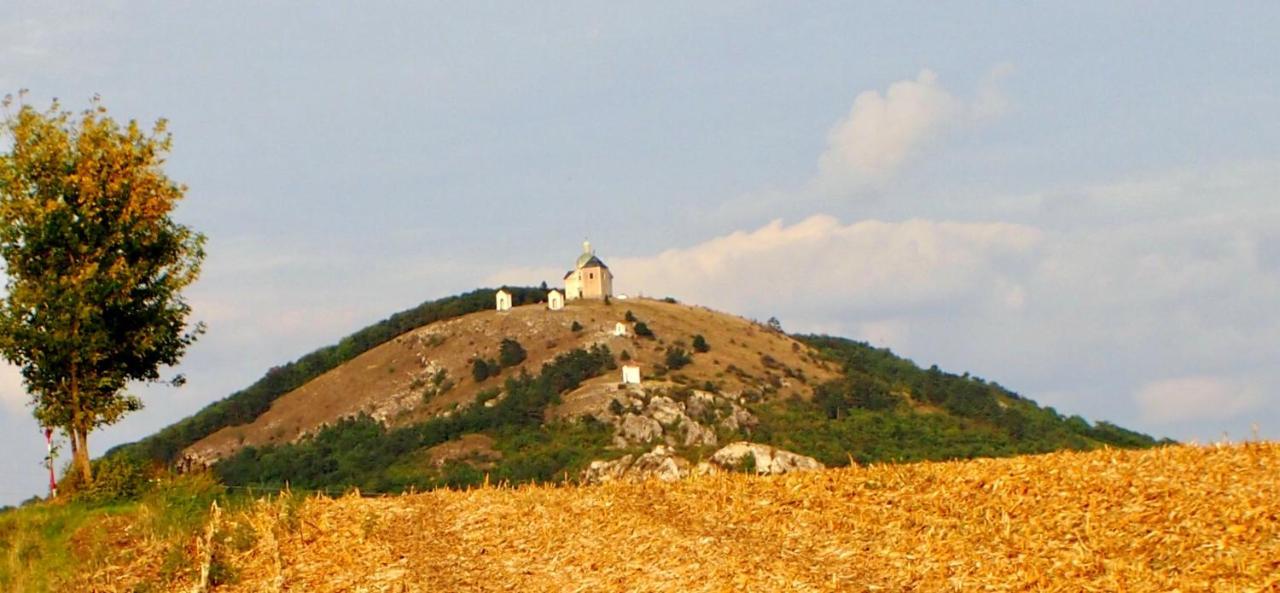 Apartmán Nesyt Sedlec  Esterno foto